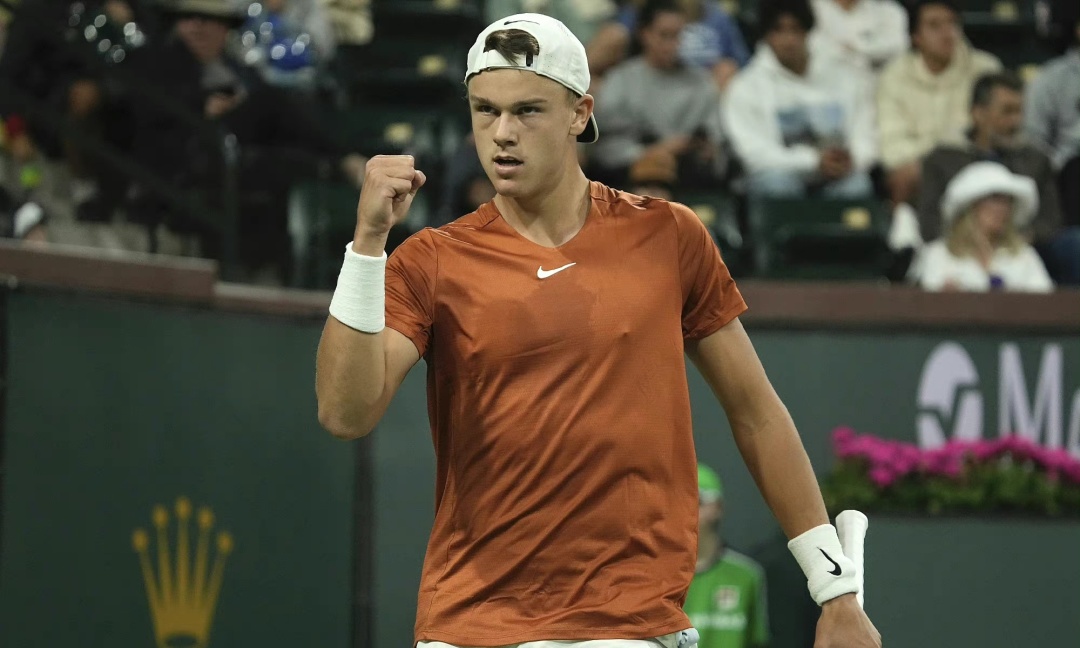 本届非洲杯 本届非洲杯