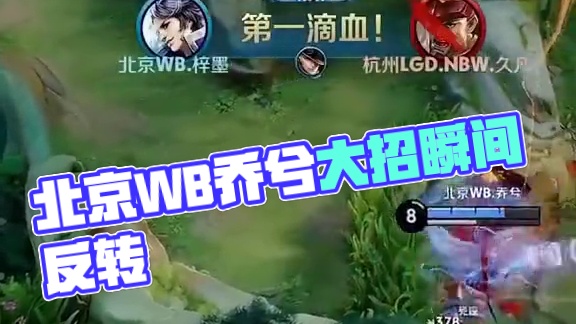 王梓阳的成 王梓阳的成