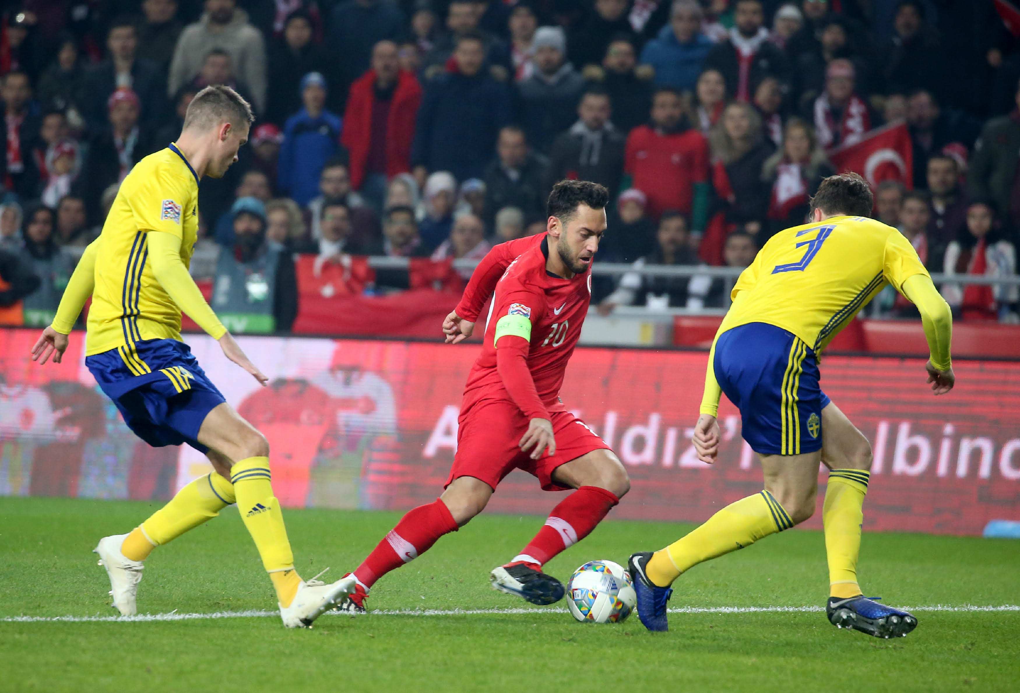 不仅因为他 不仅因为他