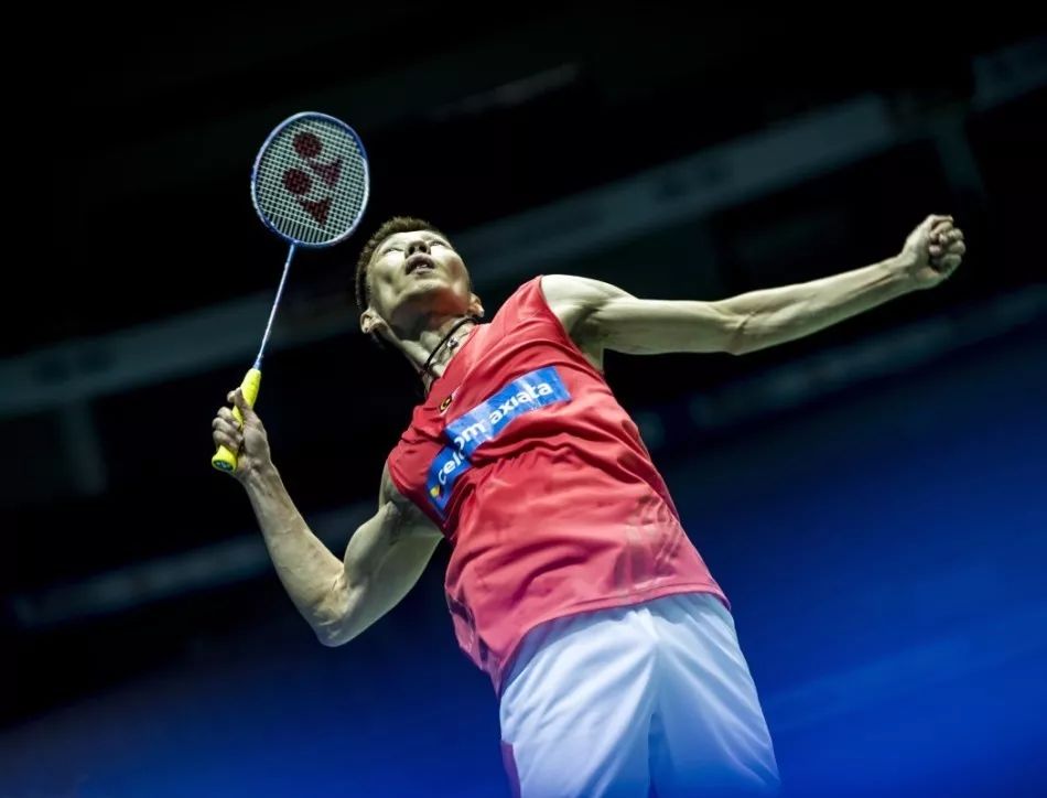 也再次印证 也再次印证